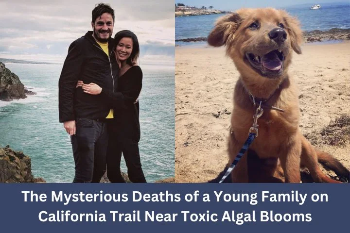The Mysterious D-eaths of a Young Family on California Trail Near Toxic Algal Blooms-What ki-lled Family