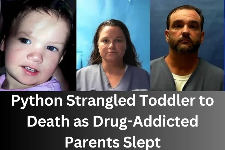 Python Str-angled Toddler to D-eath as Dr-ug-Addicted Parents Slept