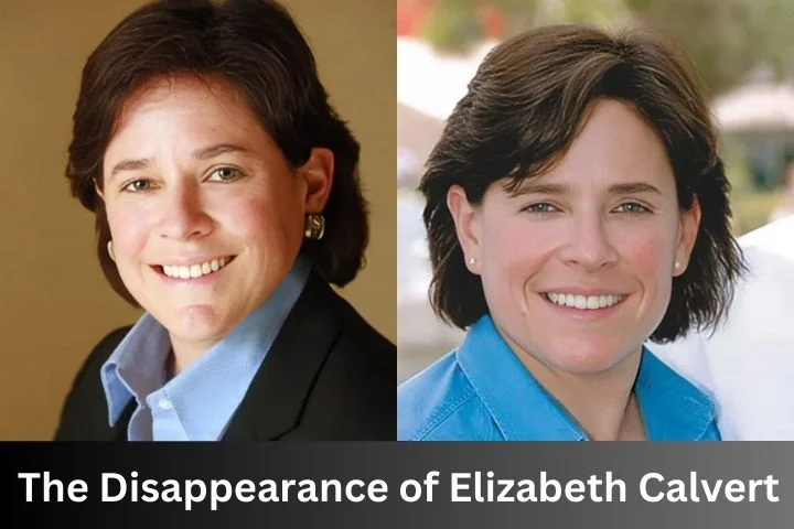 The Disappearance of Elizabeth Calvert