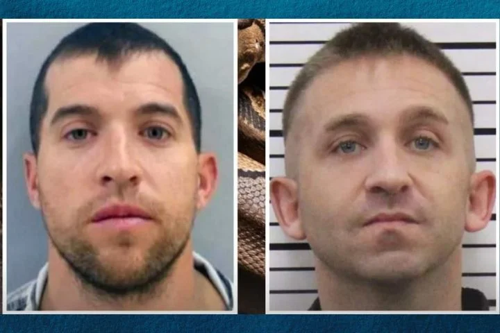 Two men arr-ested after conspiring to let ‘large python’ eat a child before ‘blowing up’ mom’s home