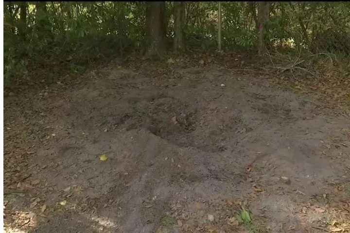 Human remains found bu-ried in Florida backyard after owner finds ‘toes sticking out of ground