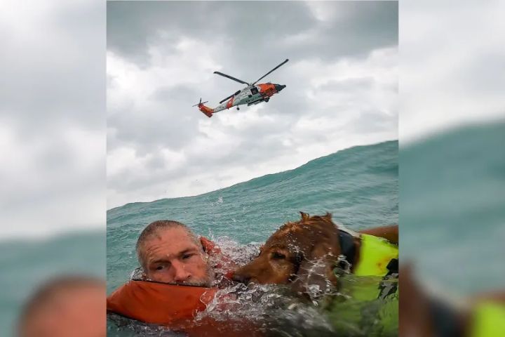 CHILLING PHOTO: Florida man, dog rescued after sailboat sinks 25 miles out in Gulf