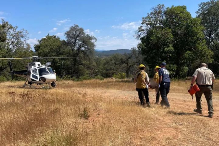 Woman found alive after 12 days in ‘treacherous’ forest